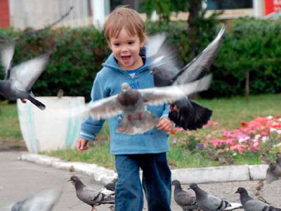 ���������� ������